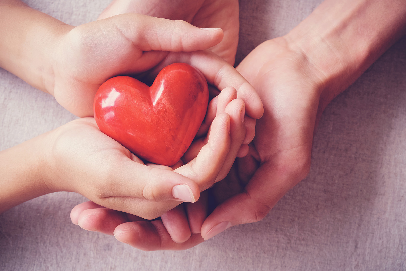 Hands holding a heart as a symbol of care